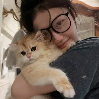 继承者风云