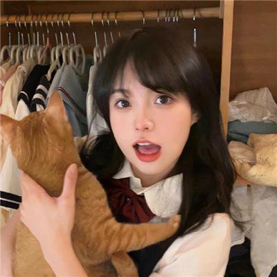 离狼之歌
